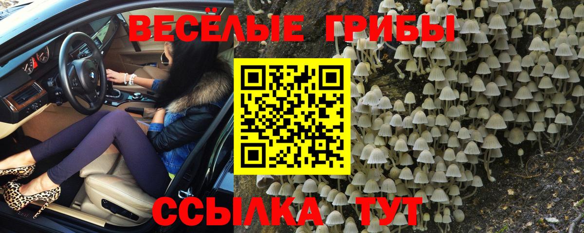 Псилоцибиновые грибы MAGIC MUSHROOMS  Вход с VPN  Урай  Галлюциногенные грибы GOLDEN TEACHER 